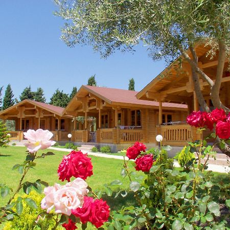 Sandys Studios Apartments And Log Villas Psalidi  Exteriér fotografie